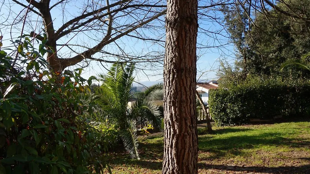 Lägenhet Villa Silvestri Fauglia Italien